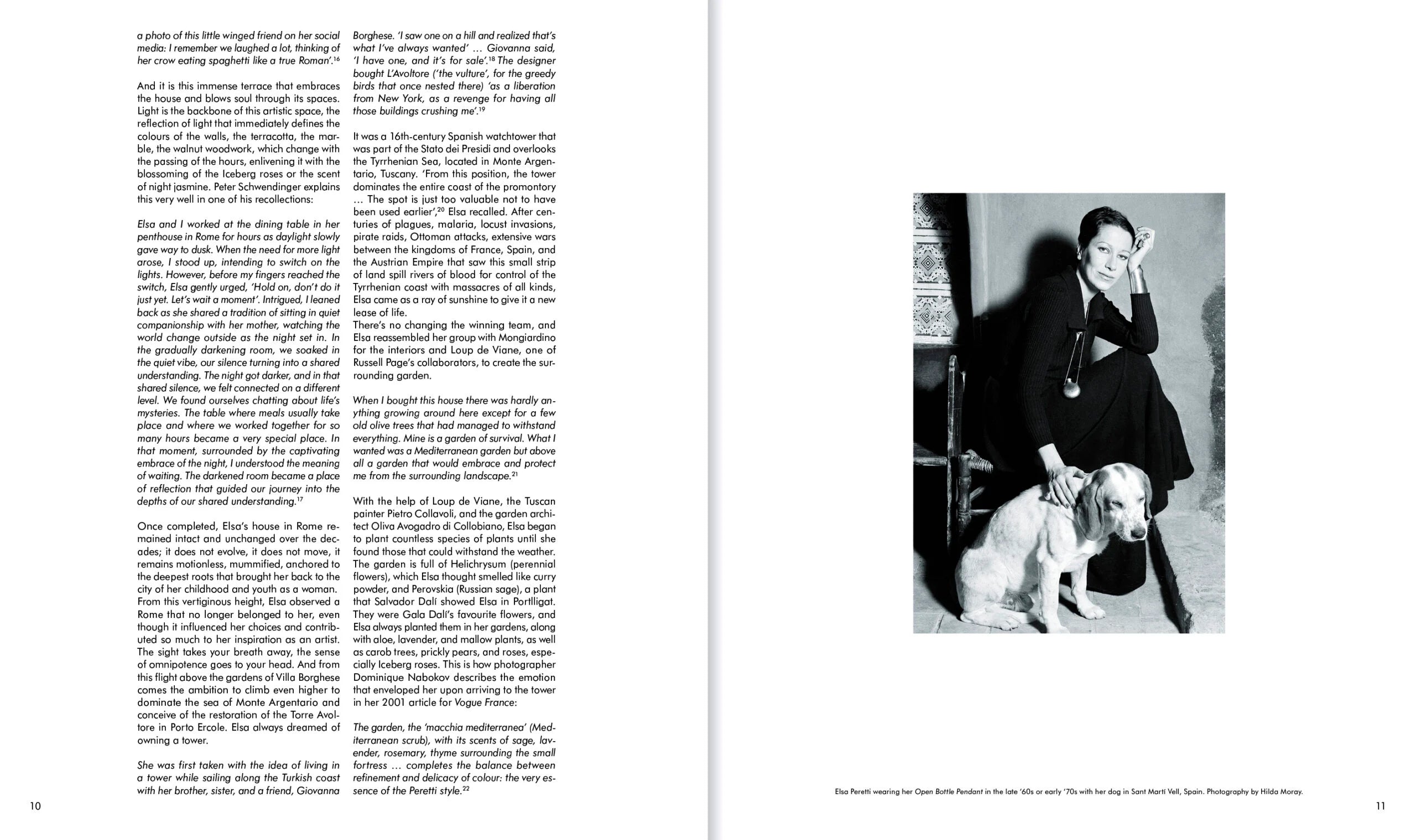 Book - The Italian Interiors of Elsa Peretti