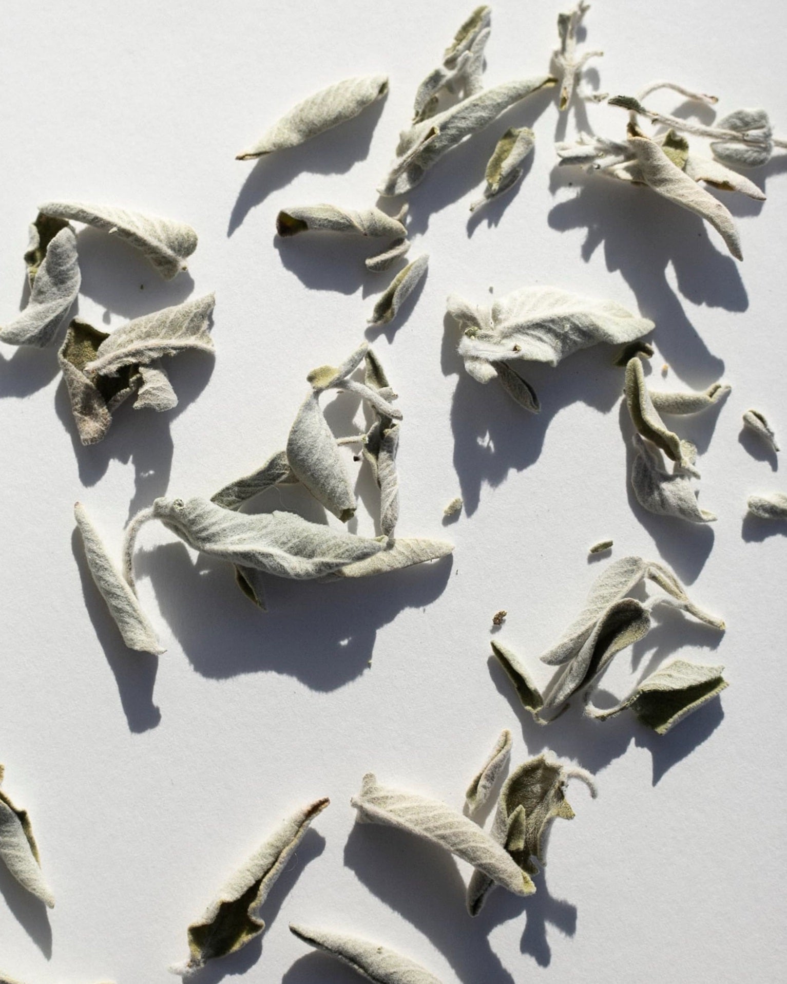Unique Greek Sage sachet