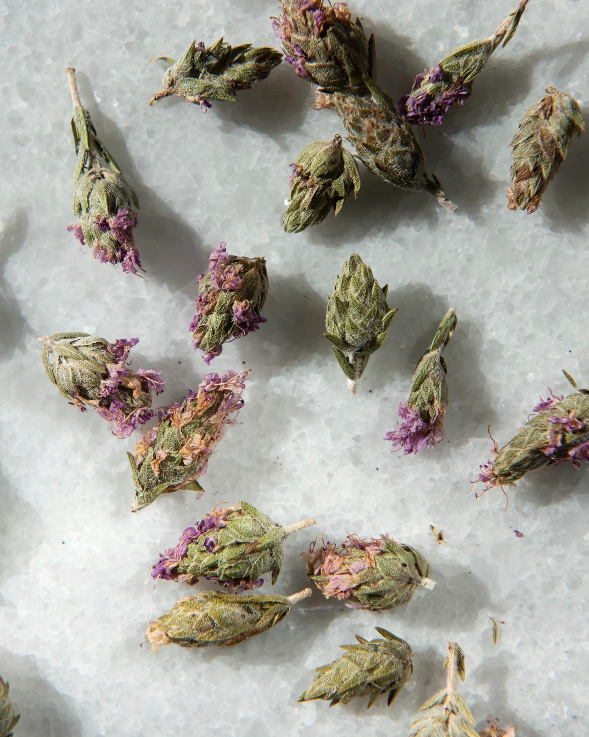 Wild Thyme Flowers jar