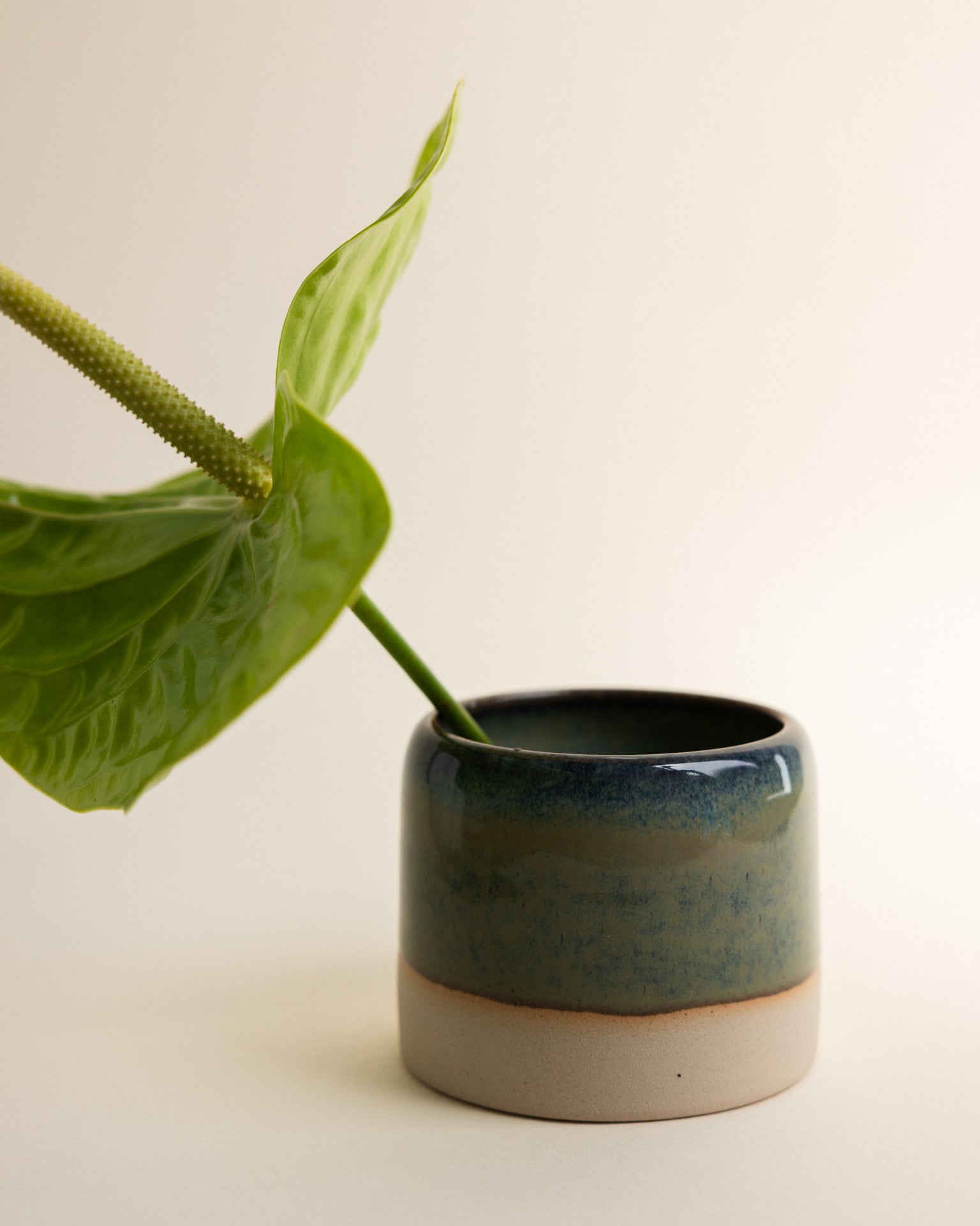 Cappuccino mug | Stoneware | Handmade |Green
