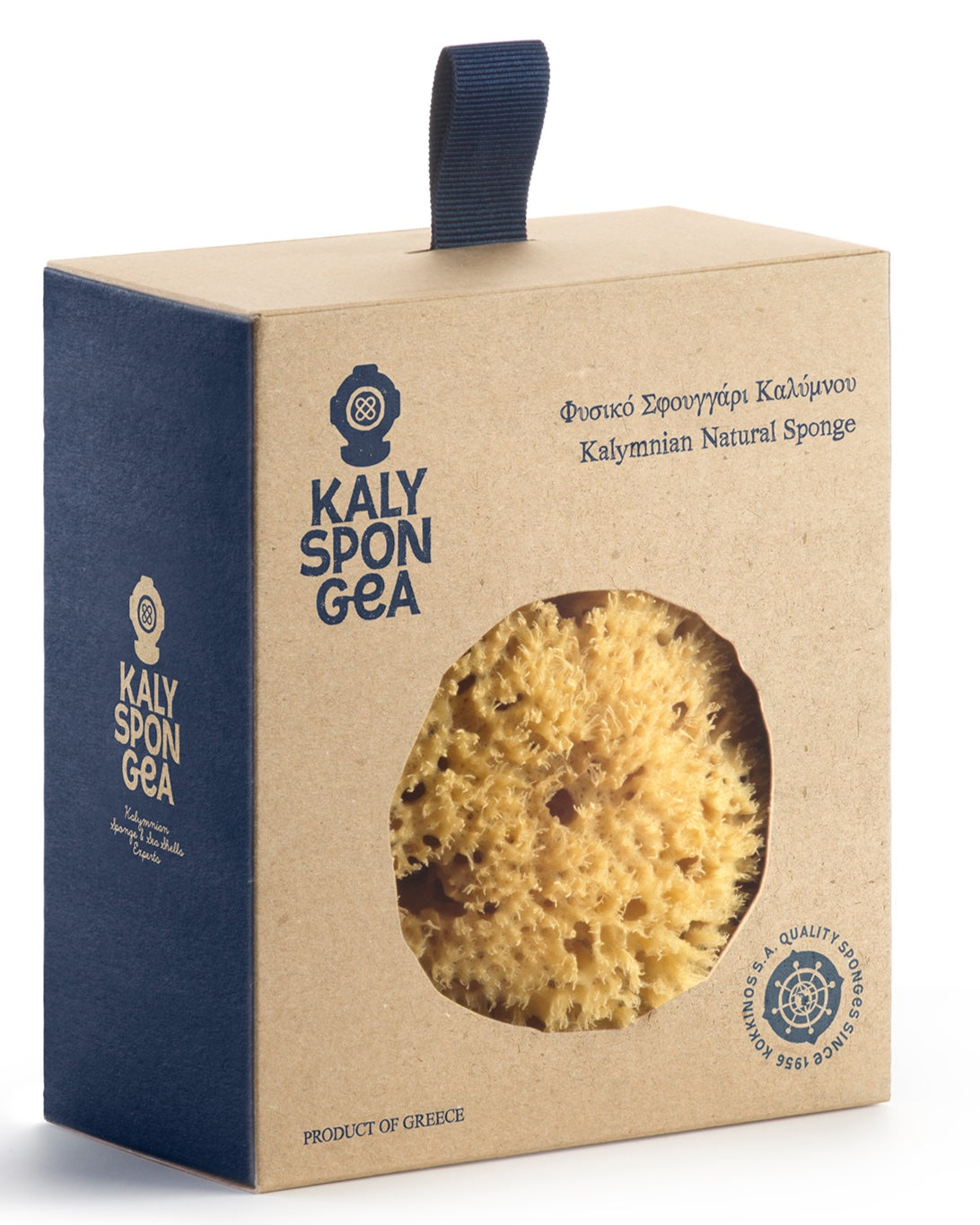 Large natural sponge